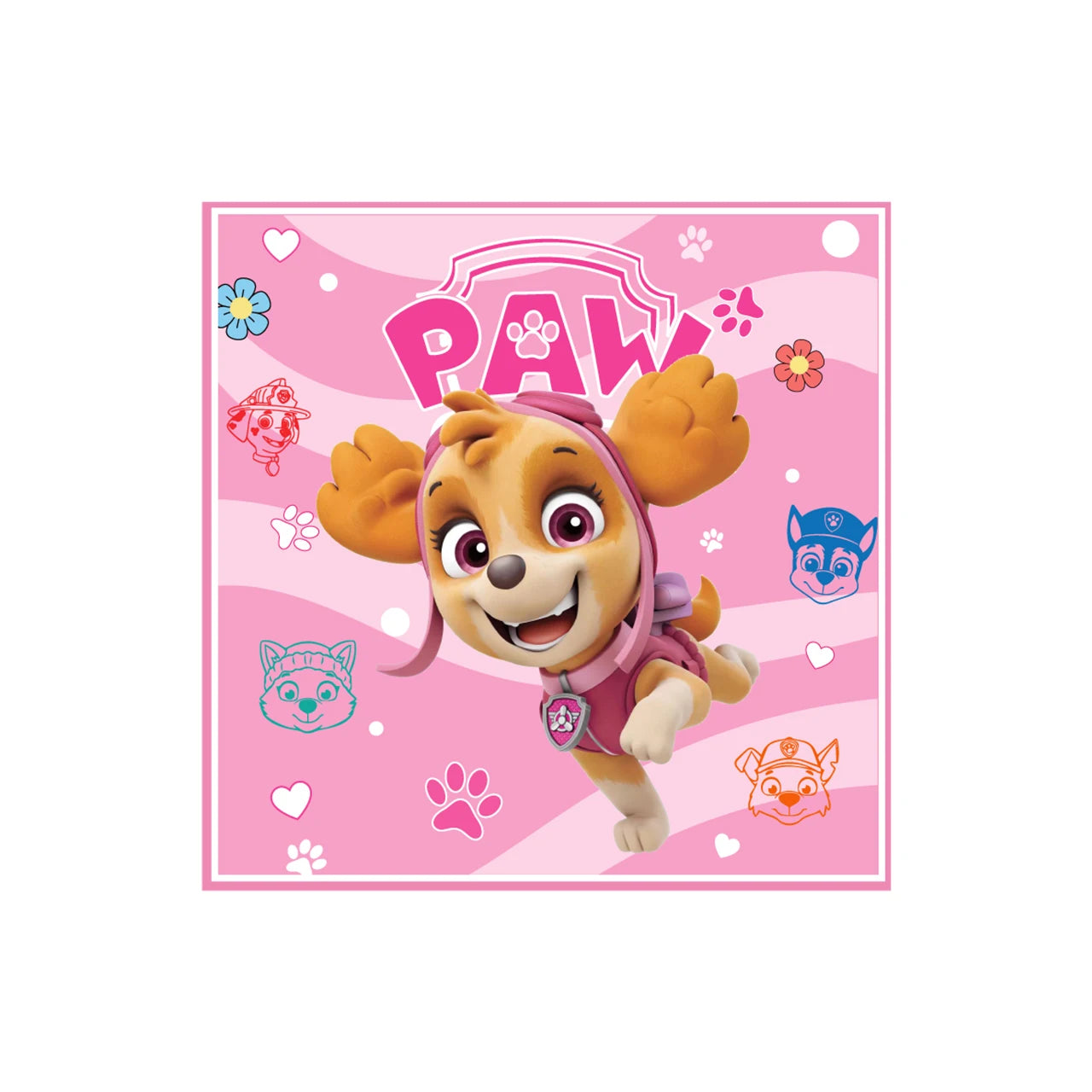 Roze Skye Paw Patrol Verjaardagsfeestje Decoratie Kinderdouche Jongens Meisjes Serviesbenodigdheden Tafelkleed Ballon Taart Topper Stro
